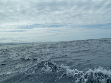 Fiji Ocean Water